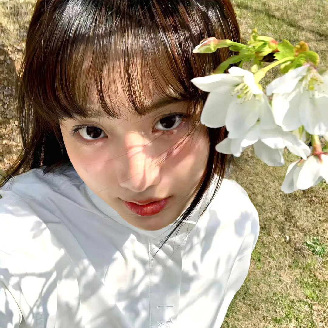 麻花探班记